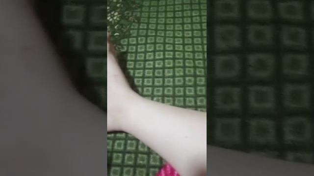 реборн