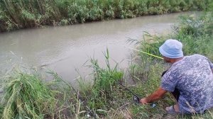 Рыбалка в Бишкеке,поймали огромную рыбу.Кыргызстан,Манас, ловим очень много рыбы