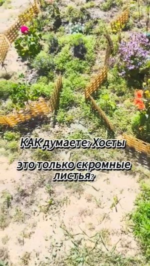 растения