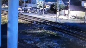 В Дербенте синебот упал на рельсы, но ему повезло — случайный прохожий успел спасти его прямо пер...