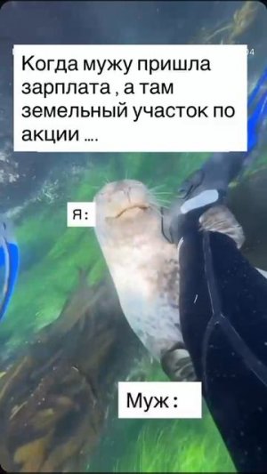 пожалуйста