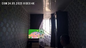 Ярик боится сильнее ветер 😱🌬 её открытой окном ⚡️🌪🙀