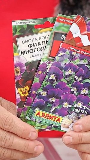 Многолетники, которые можно посеять летом!