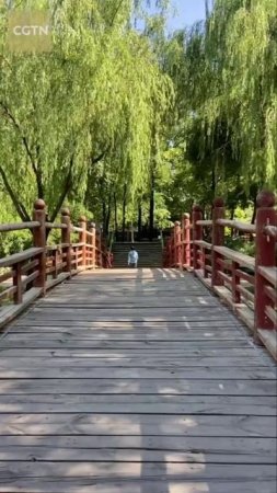 🏯 Парк руин городской стены Юань Даду — уголок истории в центре Пекина