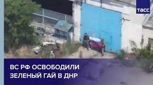 ВС РФ освободили Зеленый Гай в ДНР