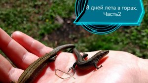 8 дней лета в горах. ЧАСТЬ 2. Тюлюк. Иремель. Палаточный отдых. Готовим борщ) (3)