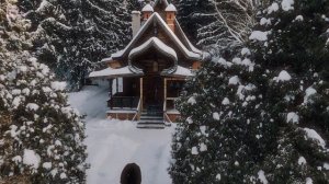 Лёша из Лавры. Погребающий странных (2025) — Трейлер — Кинопоиск