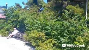 Крым. Судак. Набережная 26.07.25 г.