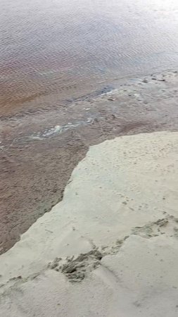 ЖИВОПИСНО