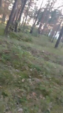 1000007177.mp4