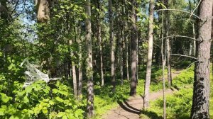 Веломарафон Челентано (спутник на 10 км)