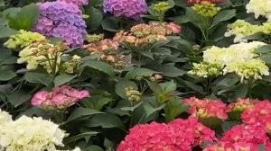 Истории из жизни|Пришлось отрабатывать|Аудио рассказы|Аудиокниги слушать онлайн|Жизненные истории