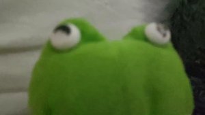 ВОЛК С ЖАБУШКОЙ В ПОЕЗДЕ! ВОЛК ЕСТ КУКУРУЗУ?