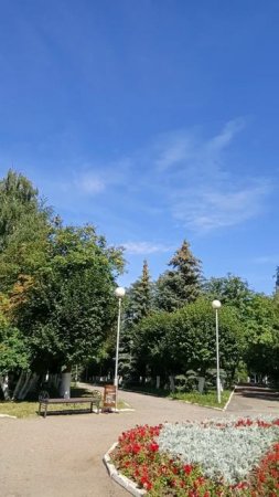 рябина в Парке Победы