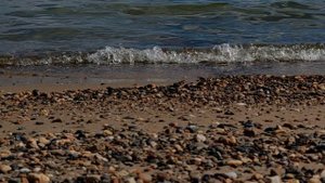 Летняя прогулка по берегу моря, лесу, красивые облака, природа под музыку