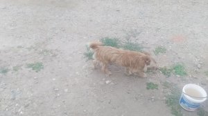 VID_20250719_181731