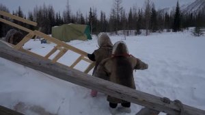 Как ненцы живут на Крайнем Севере - 73 °C