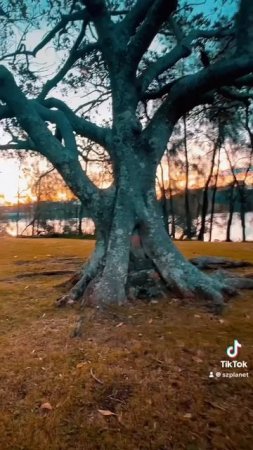 The Secret Point in #Sydney at the #Sunset 🎵   #australia🇦🇺