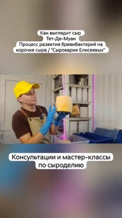 Как выглядит сыр  Тет-Де-Муан Процесс развития бревибактерий на корочке сыра / "Сыроварня Елисеевых"
