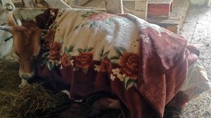 ЧТО У НАС СЛУЧИЛОСЬ !