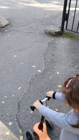 VID_20240918_143500