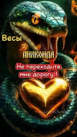 знаки зодиака