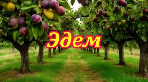 Эдем. Музыкальный клип.