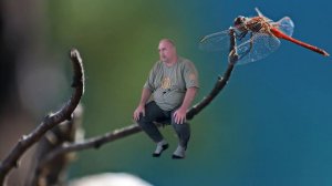 Создание безсмертного зародыша. Разговор после практики