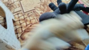 кастиной убийца 2 сезон 2 серия