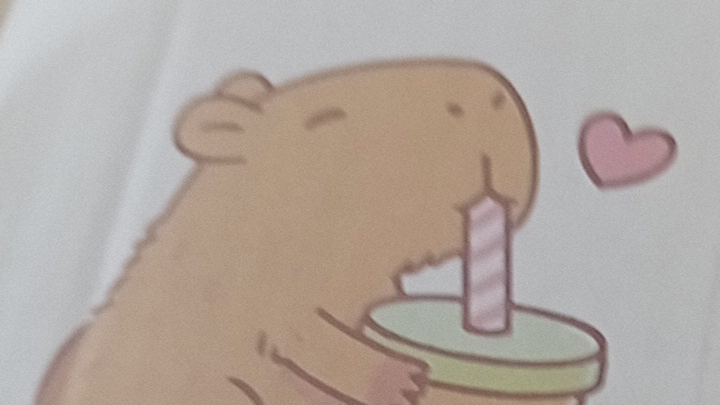 Распаковка Ксюшеного подарка в виде капибары.