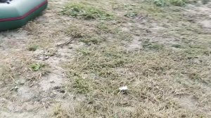 лодка "тайга" 16,09,24