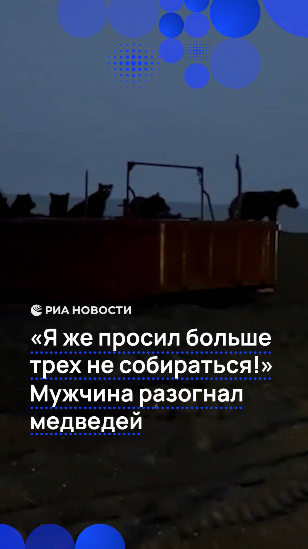 "Я же просил больше трех не собираться!". Мужчина разогнал медведей