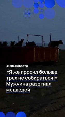 "Я же просил больше трех не собираться!". Мужчина разогнал медведей