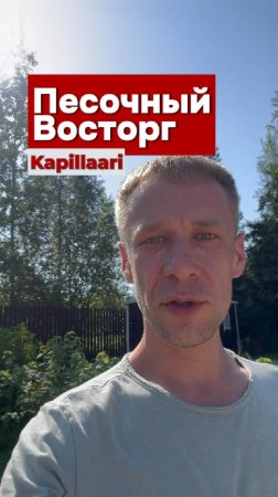 Песок — ТОП !
Вода уходит сразу, уклон точный, дрены работают. Хотите так же?