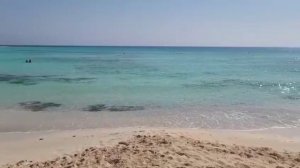 Средиземное море. Побережье у Александрии.