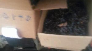VID-20241215-WA0001