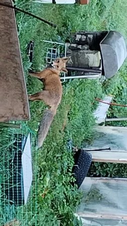 VID_20240907_082139