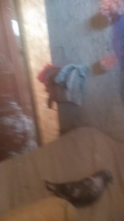 VID_20250726_082808.mp4