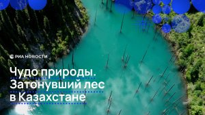 Чудо природы. Затонувший лес в Казахстане