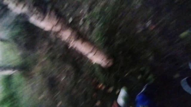 ЧЕРЕПУХУС НА ПРОГУЛКЕ 2! смотреть онлайн