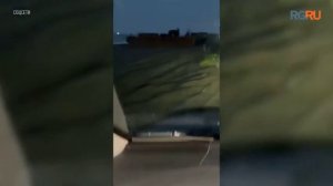 “Я же просил больше трех не собираться!”: Житель Камчатки разогнал медвежью “пляжную вечеринку”
