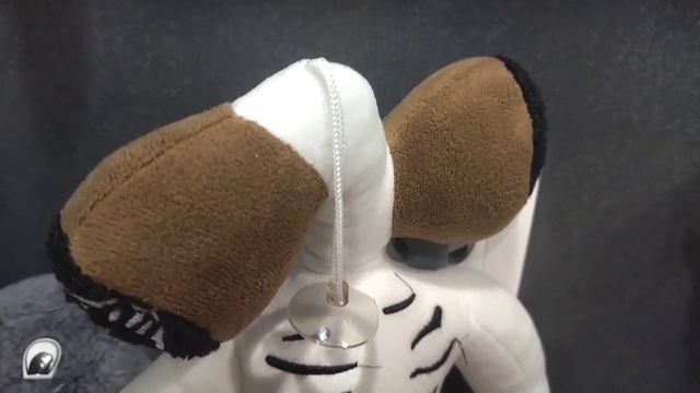 ЖАБУЖКА ОПЯТЬ ПРОПАЛА! ГДЕ ЖЕ ОНА? смотреть онлайн