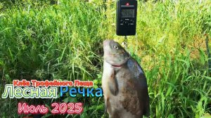 КЛЁВ ТРОФЕЙНОГО ЛЕЩА ЛЕСНАЯ РЕЧКА ХОРОШАЯ РЫБНАЯ В ЭТОМ ОБЗОРЕ ГЛАВНОЙ ПОИМКОЙ БЫЛ ДЛЯ МЕНЯ ЛЕЩ