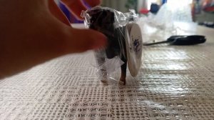 распаковка(собака хотелочка)