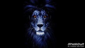 DJ LEV- Confidence 2.
