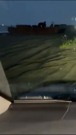 «Я же просил больше трёх не собираться!»

На Камчатке медведи устроили сходку, но не согласовали её