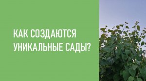 Как создаются уникальные сады? | Родное Дерево!
