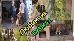 Ейск ! За мелочами в Сом, любимчик Пашка, коршун, сделали доброе дело и работы на доме и во дворе !