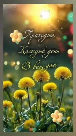 ДОБРЫЙ ДЕНЬ! 😁😁😁 27.07.2025г. Удачных событий и дел, позитивного равновесия и моментов! 😄😄😄