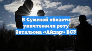 В Сумской области уничтожили роту батальона «Айдар» ВСУ